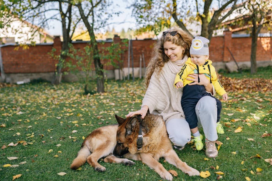 La tendance du "Pet Parenting" : une nouvelle forme de parentalité ?